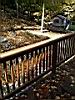 2004-10-17_Autumn-hair 008.JPG